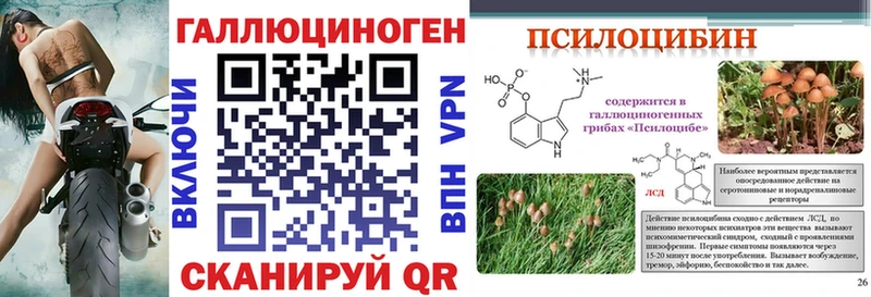 Галлюциногенные грибы GOLDEN TEACHER  Михайловск 
